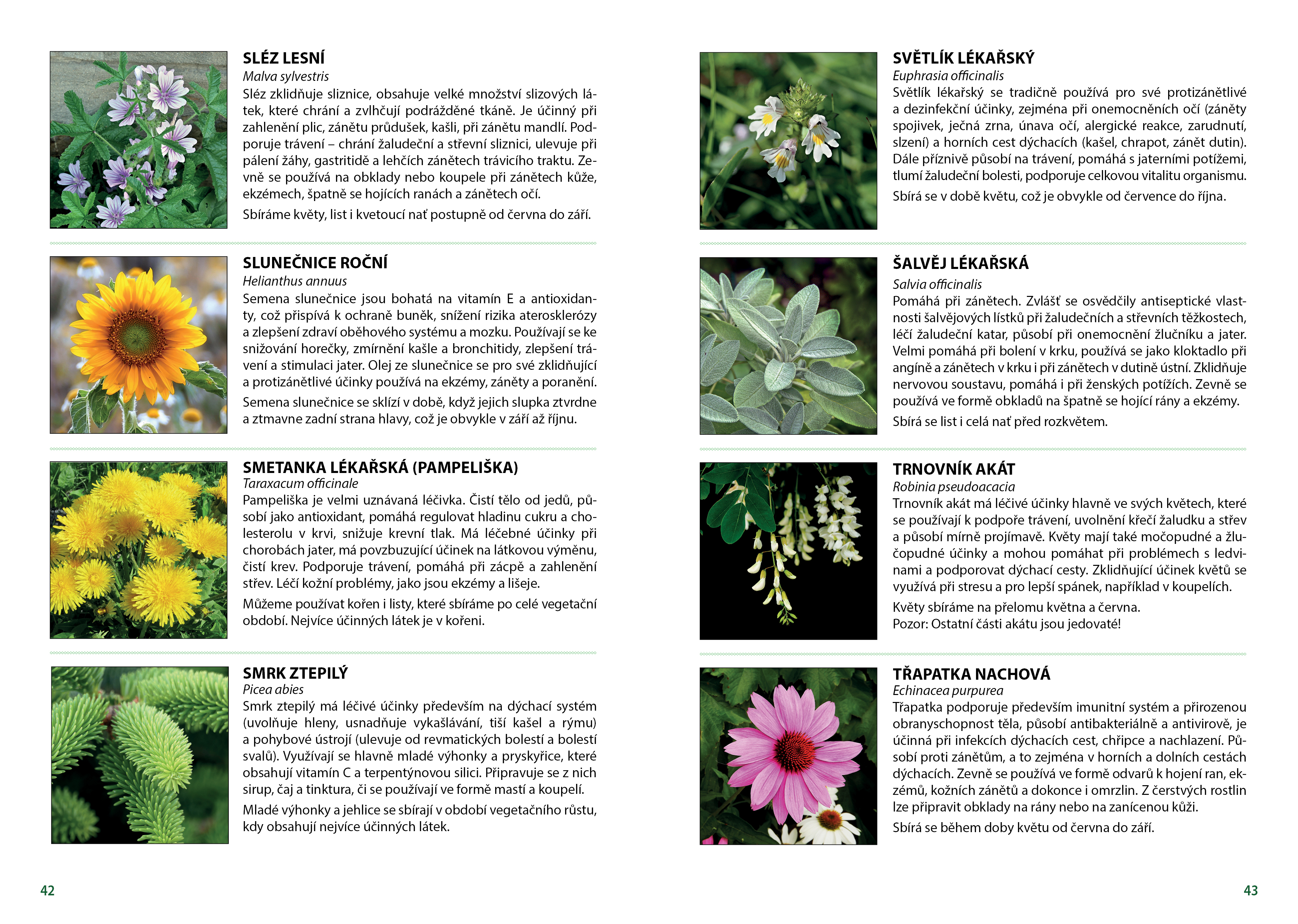 Domácí léčebné prostředkyUkázka atlas